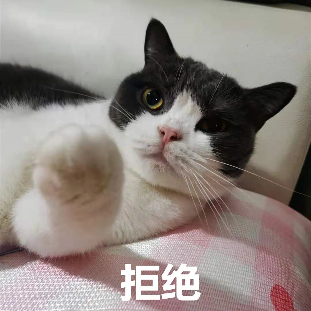DƬ